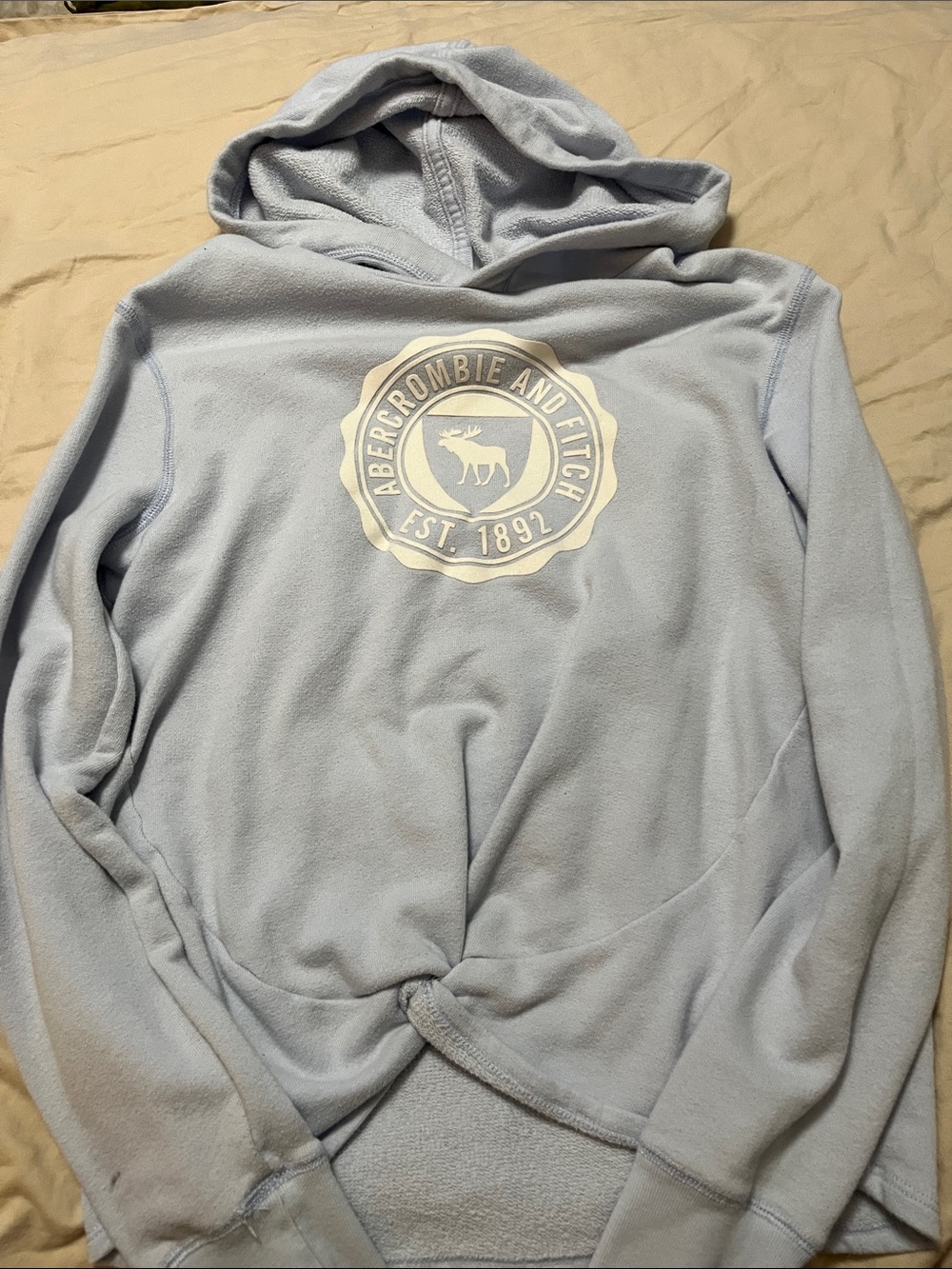 Abercrombie & Fitch Light Blue Crewneck Sweatshirt with White Logo